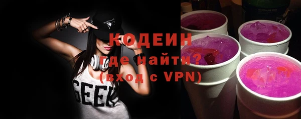 гашик Алексин
