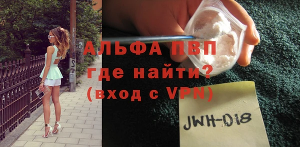гашик Алексин
