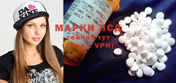 гашик Алексин