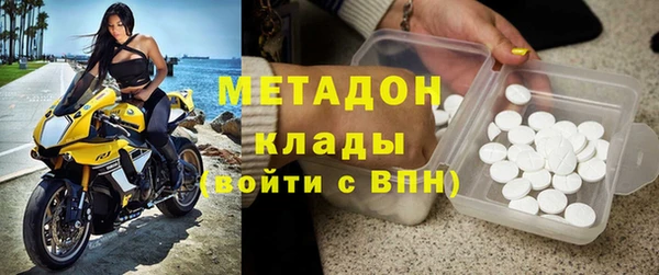 гашик Алексин