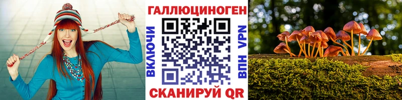 кракен сайт  Дмитров  Псилоцибиновые грибы MAGIC MUSHROOMS 